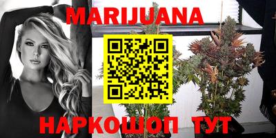 гашик Краснознаменск