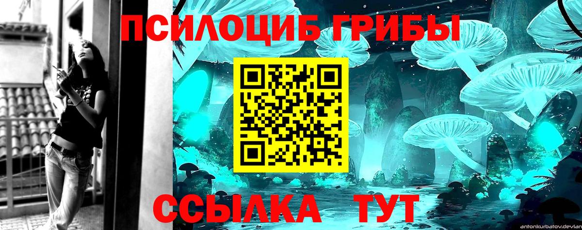 Псилоцибиновые грибы мицелий Ирбит